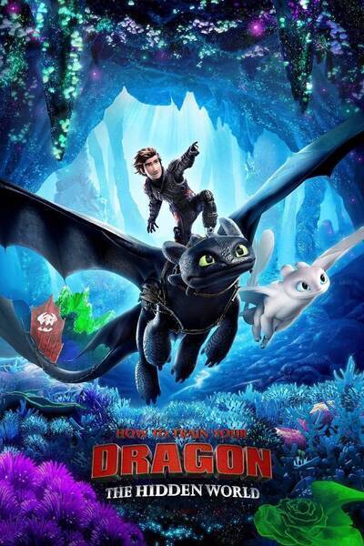 How to Train Your Dragon: The Hidden World Hindi Dubbed Movie Poster (2019)