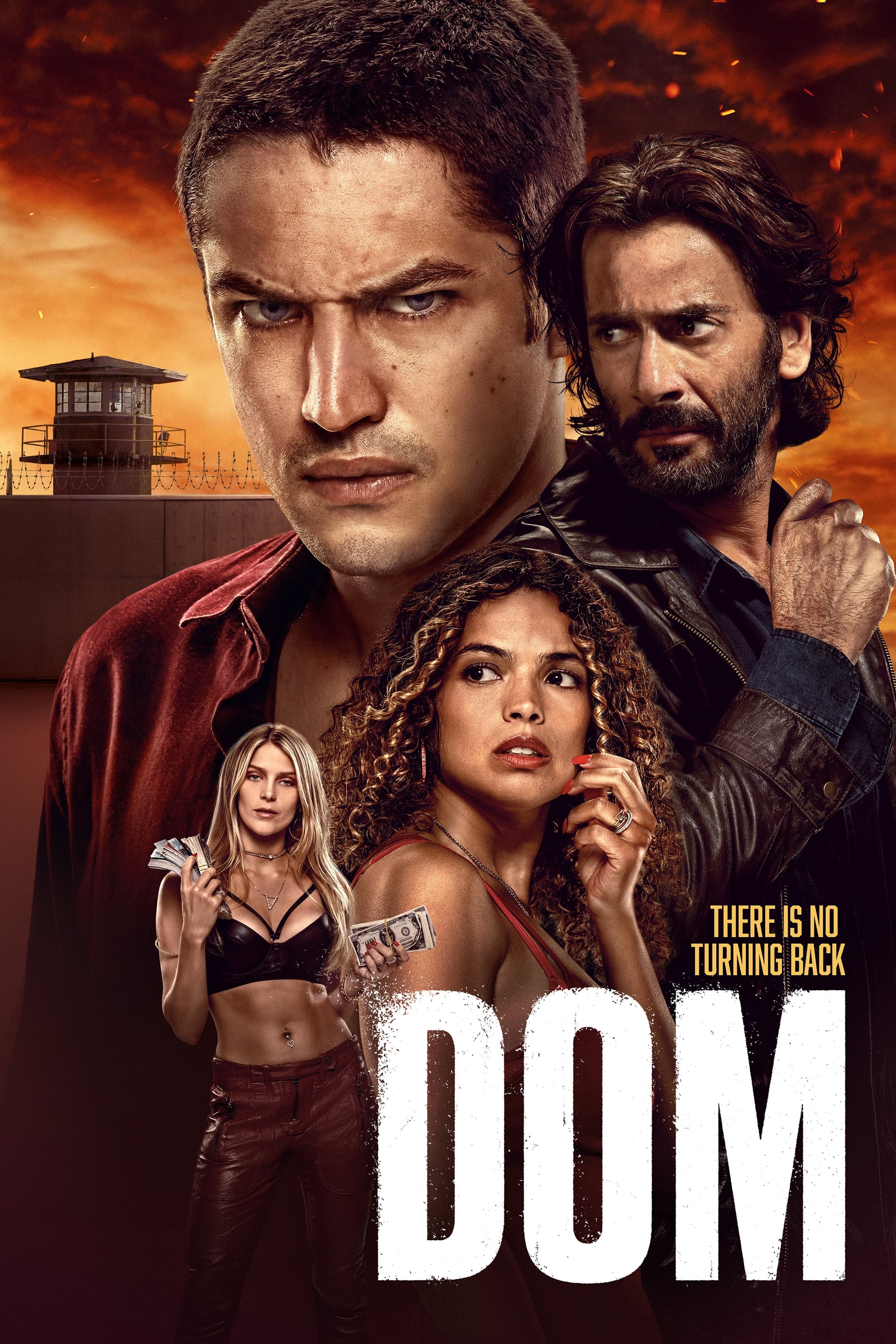 DOM Hindi Dubbed Movie Poster (2021)