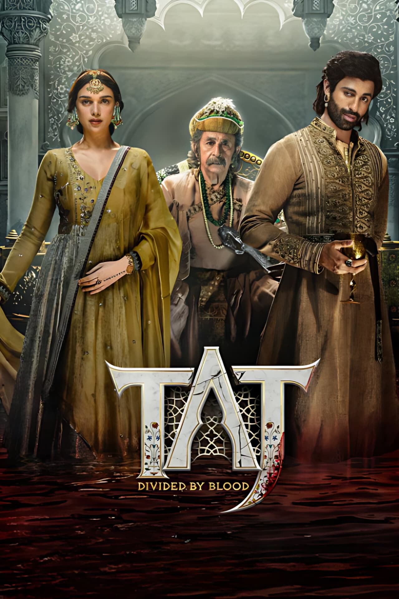 Taj: Divided by Blood Hindi Dubbed Movie Poster (2023)